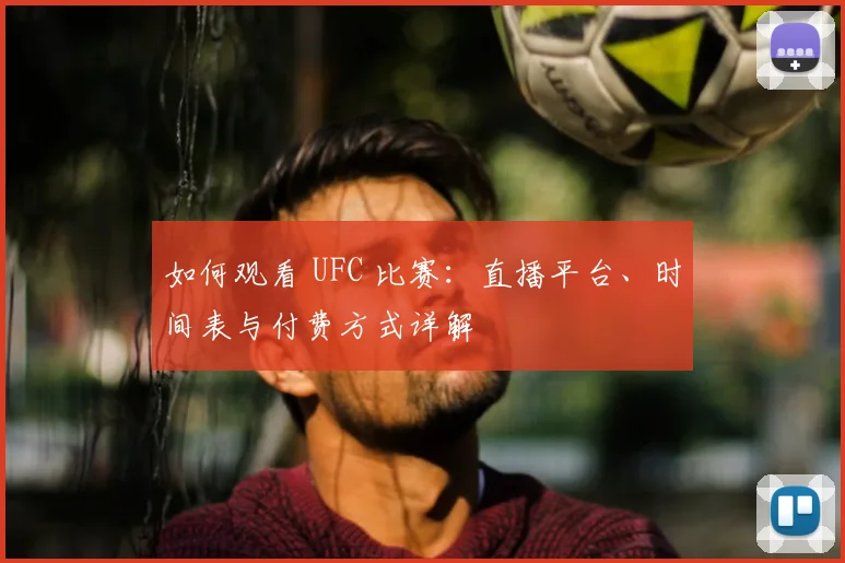 如何观看 UFC 比赛：直播平台、时间表与付费方式详解