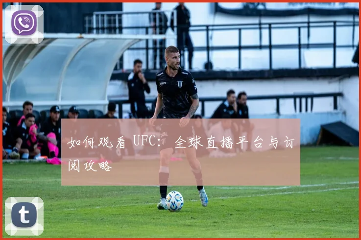 如何观看 UFC：全球直播平台与订阅攻略
