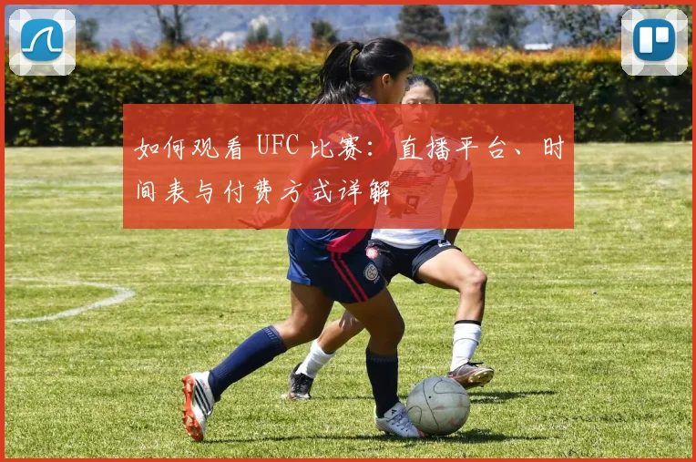 如何观看 UFC 比赛：直播平台、时间表与付费方式详解