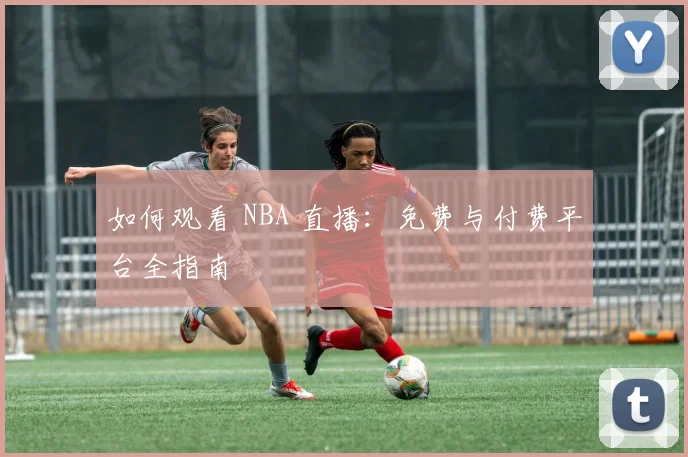 如何观看 NBA 直播：免费与付费平台全指南