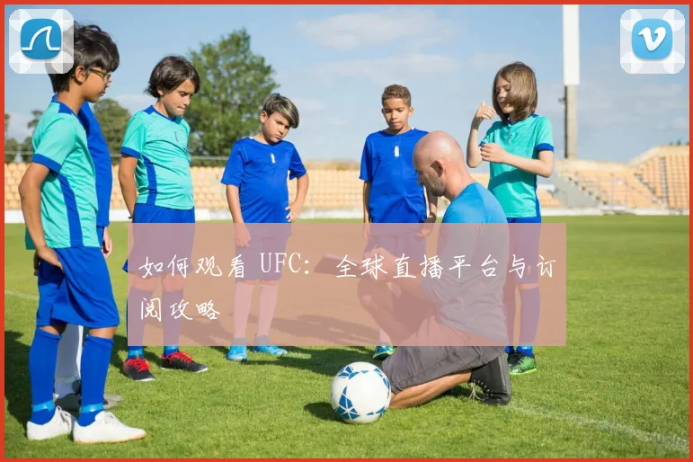 如何观看 UFC：全球直播平台与订阅攻略