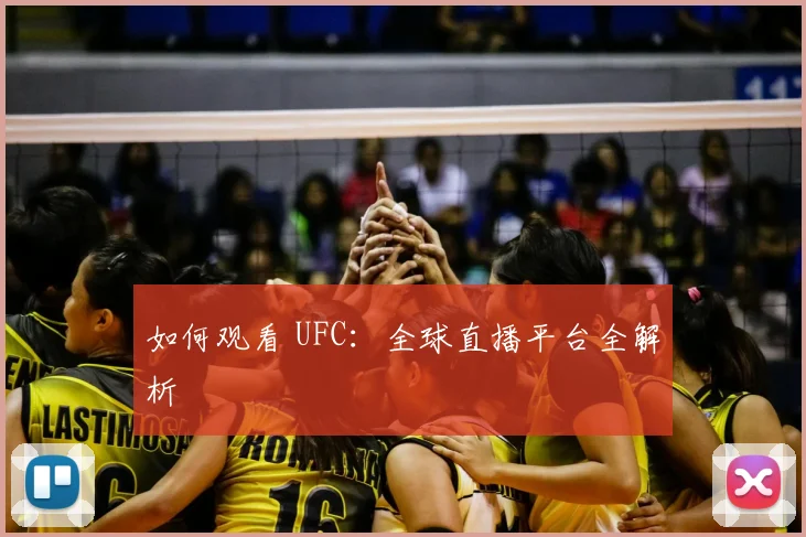 如何观看 UFC：全球直播平台全解析